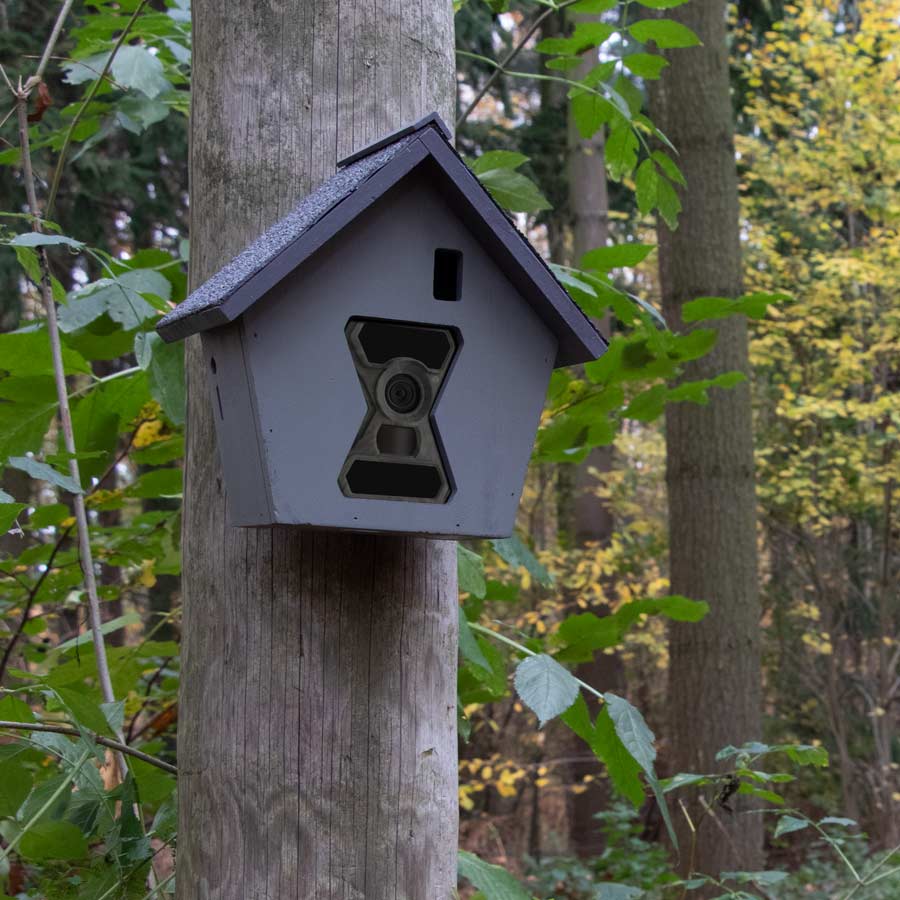 Tarnvogelhaus am Baum
