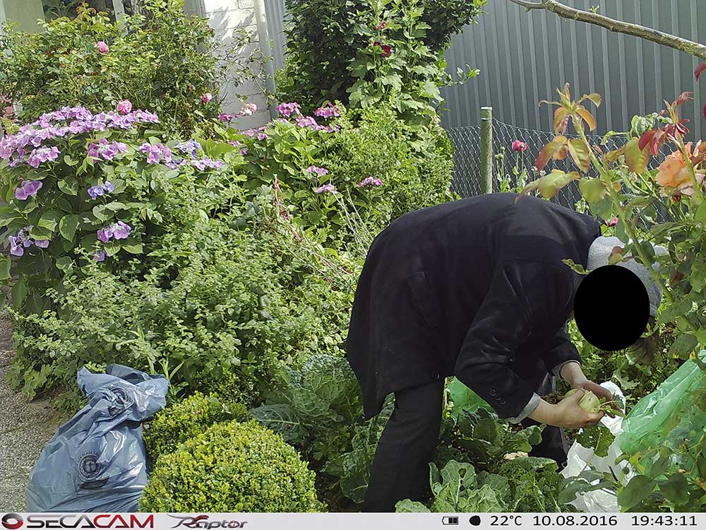 So schützen Sie Ihren Schrebergarten mit einer Wildkamera So schützen Sie Ihren Schrebergarten mit einer Wildkamera