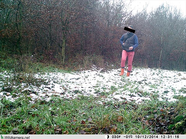 Aufnahme eines Eindringlings mit Wildkamera Wild-Vision-Full HD5.0