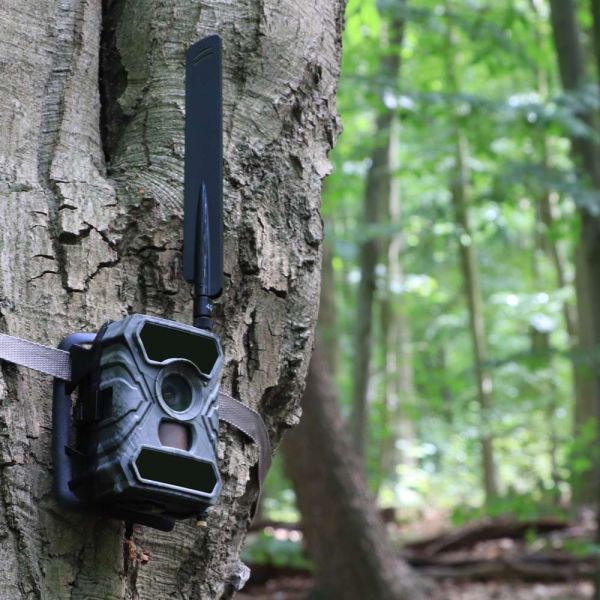 SECACAM Raptor / HomeVista mobile LTE